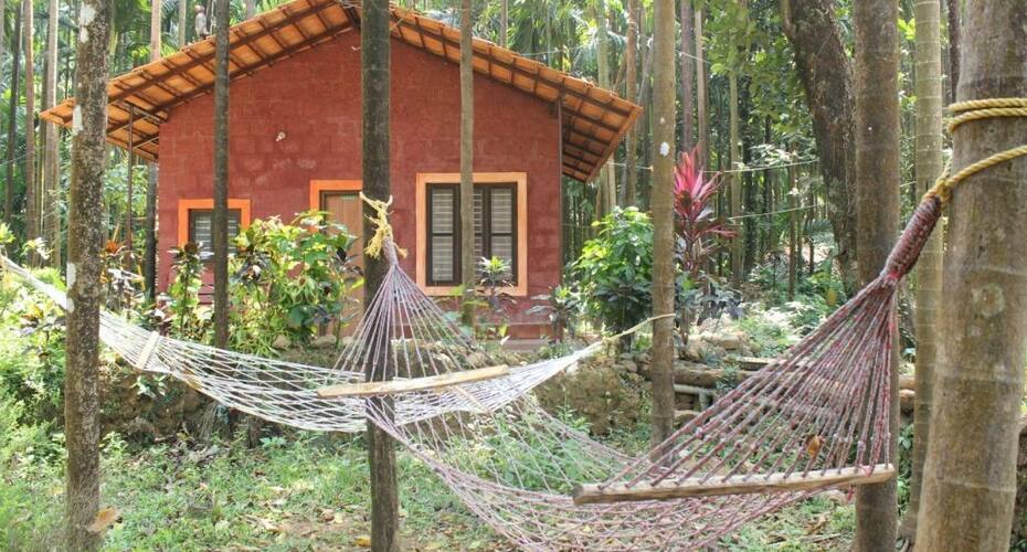 Stream Of Joy Homestay, Dharmasthala 4